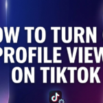 How to Turn Off Profile Views on TikTok